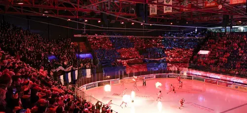 Choreo der Lakers-Fans