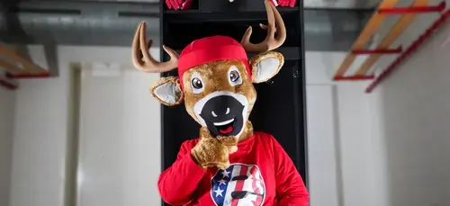 Neues Maskottchen