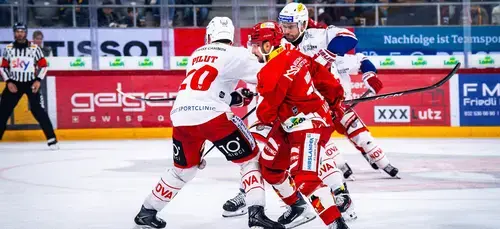 EHCB_SCRJ